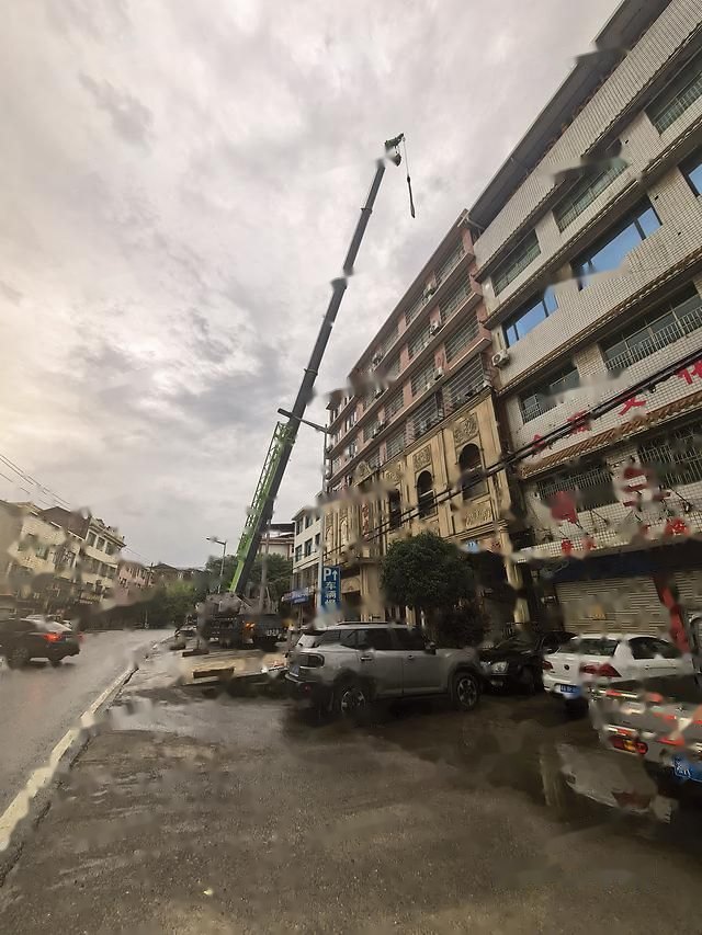 Zoomlion ZTC200V