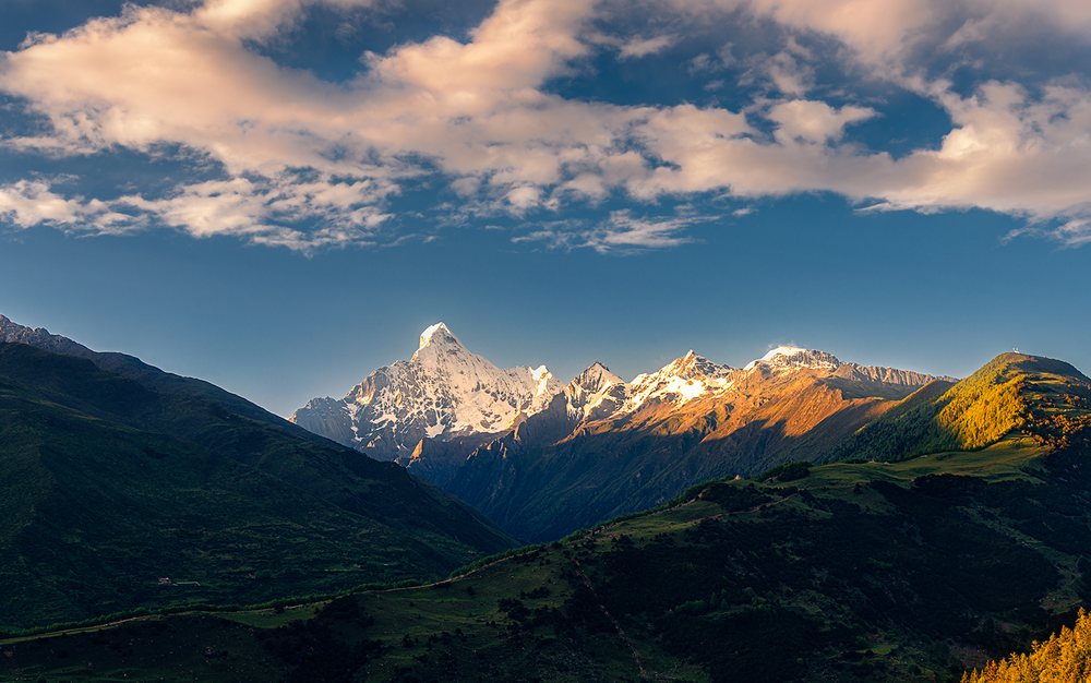 Shanyu Heavy ZL940D